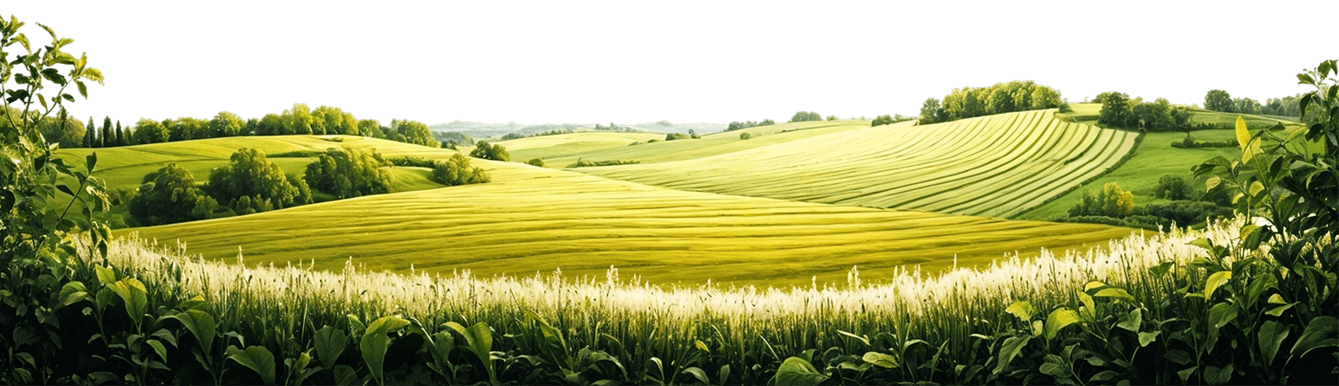 Soilux Farms Agricultural Operations